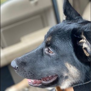 Meet your Posher, Jesse